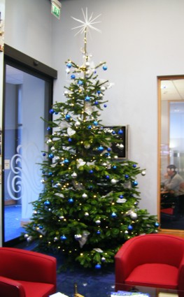12 foot live tree in blue and silver
